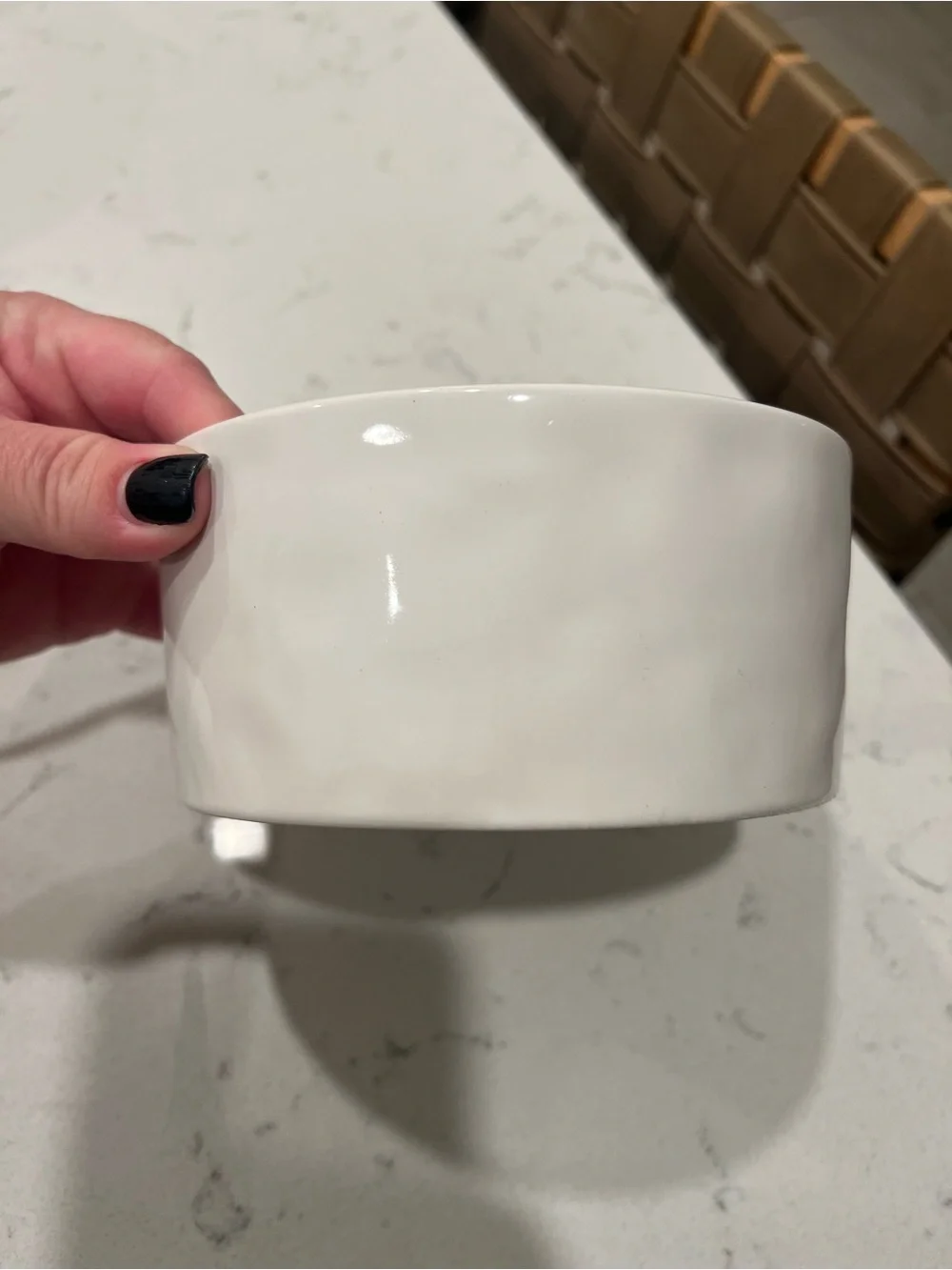 NWT Rae Dunn Nibble Dog Food/Water Bowl